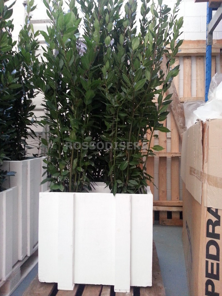Flower box rental in Milan Italy